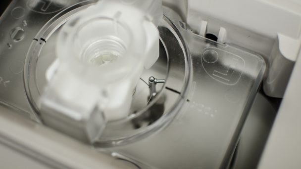 1 Cherry 7953 resize