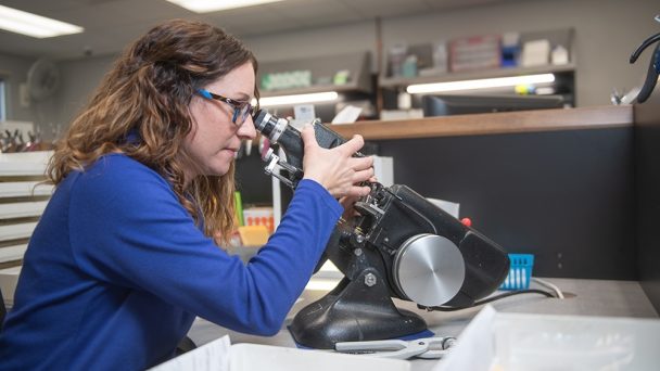 6 Cherry 8461 resize