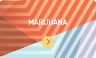 Marajuana thumbnail