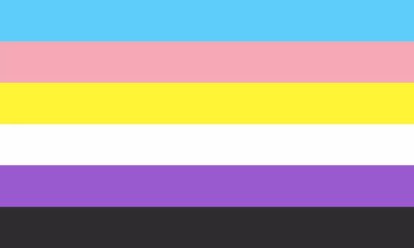Trans non binary flag