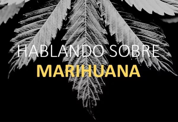 Marihuana