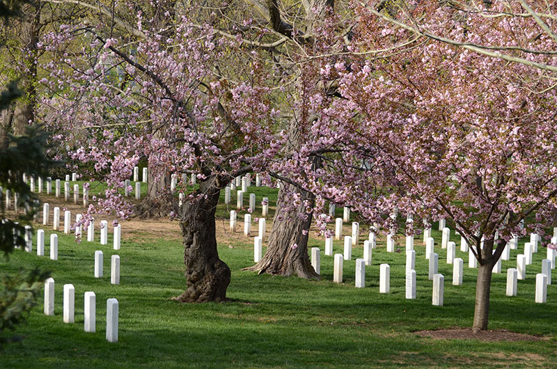Arlington National Cemetery