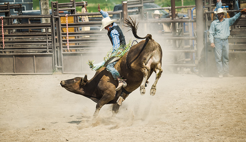 Cody Stampede Celebration