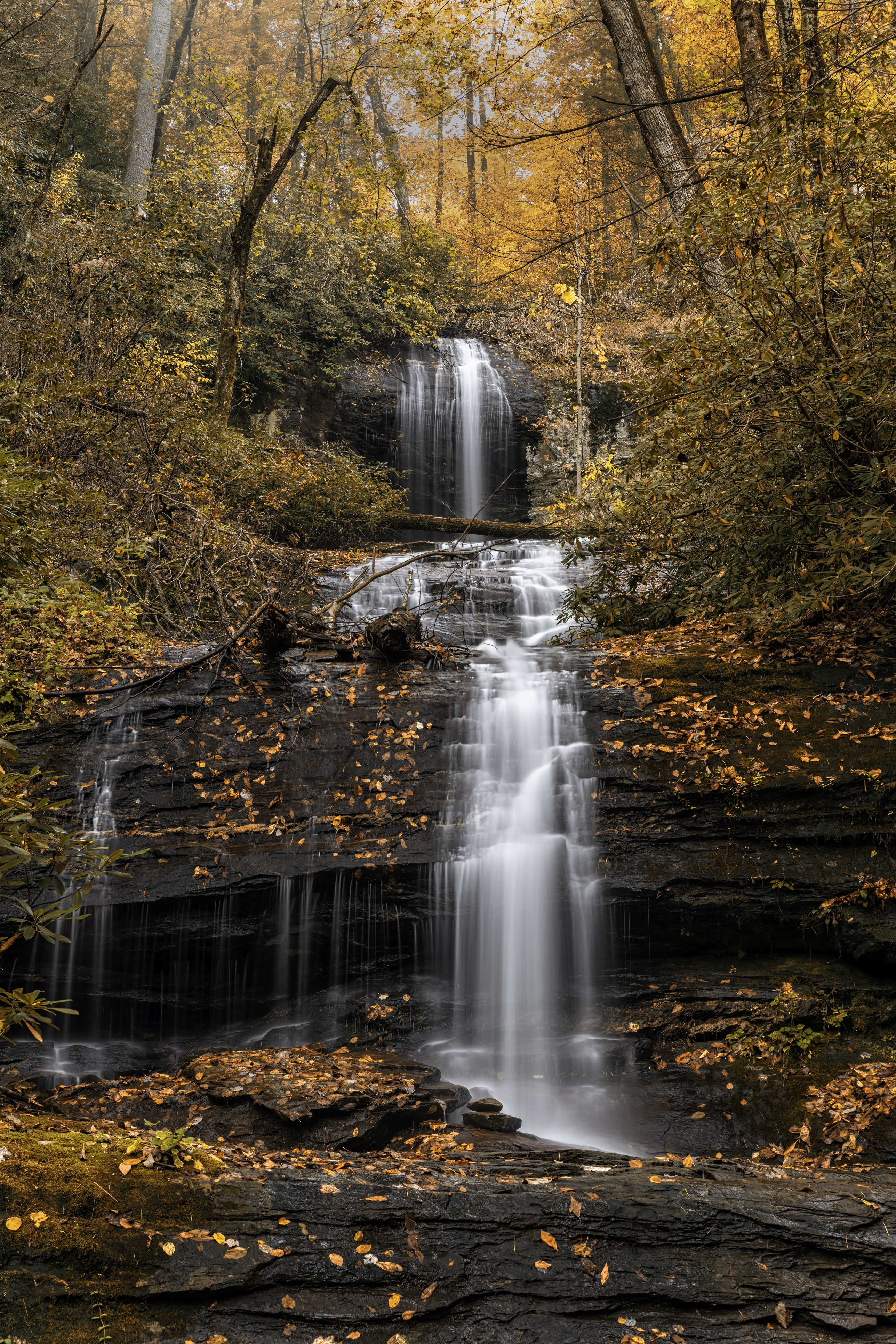 Amicalola Falls State Park