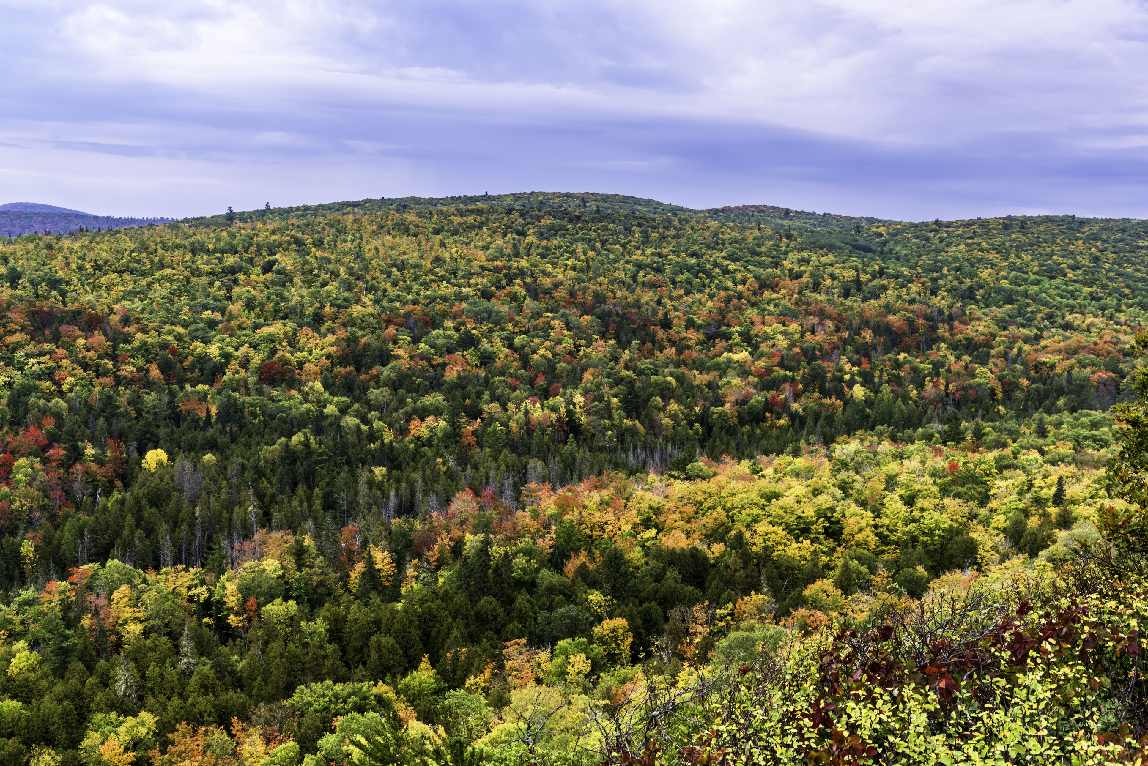 Upper Peninsula, MI