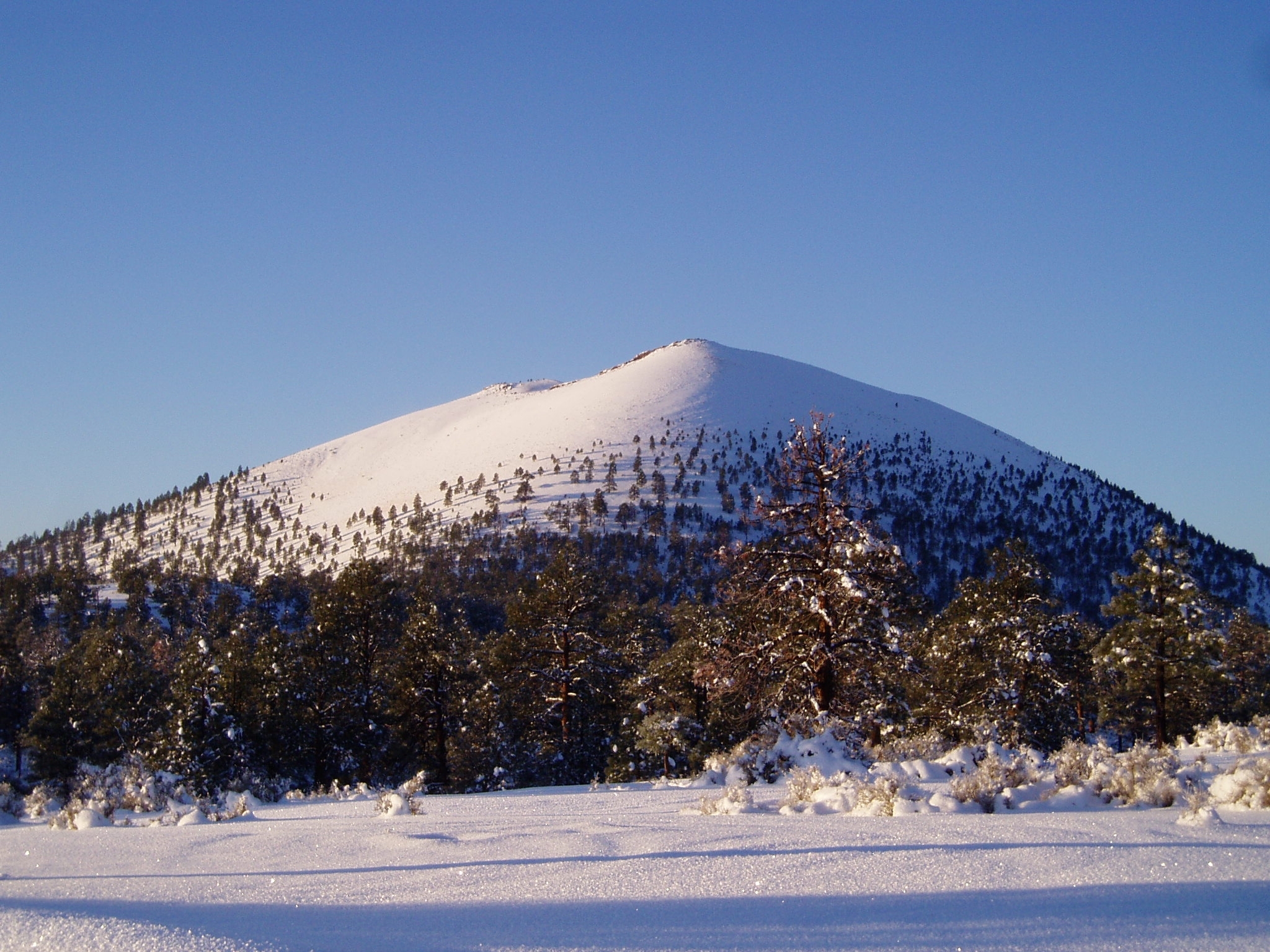 Sunset Crater Volcano National Monument