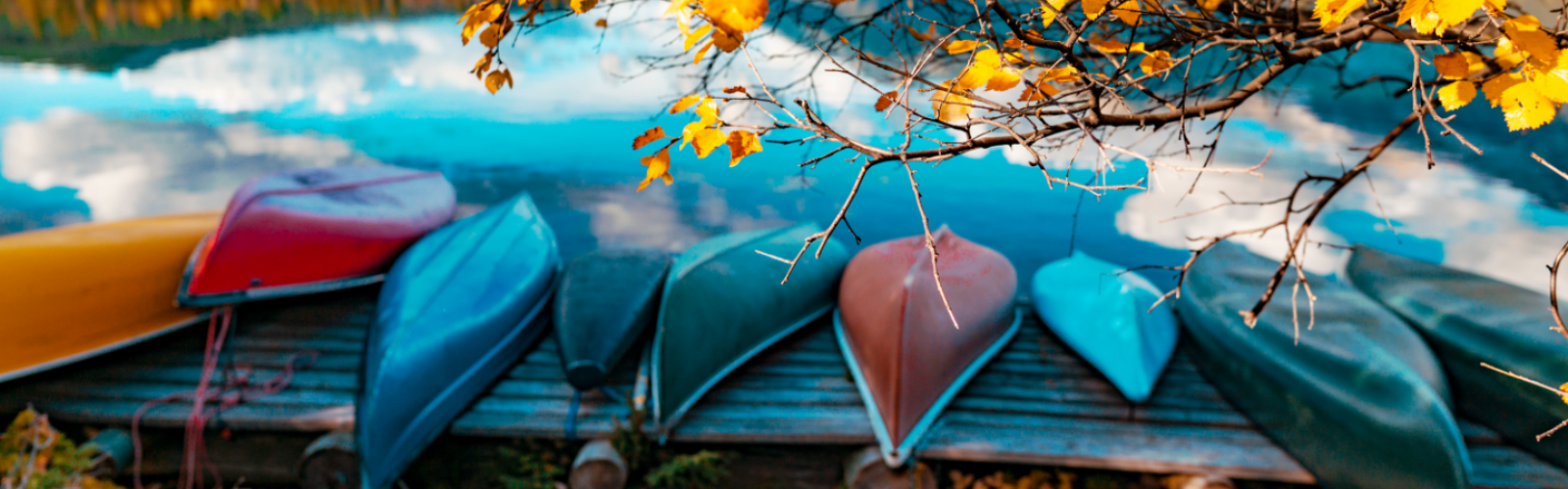 Holiday Rambler November Blog