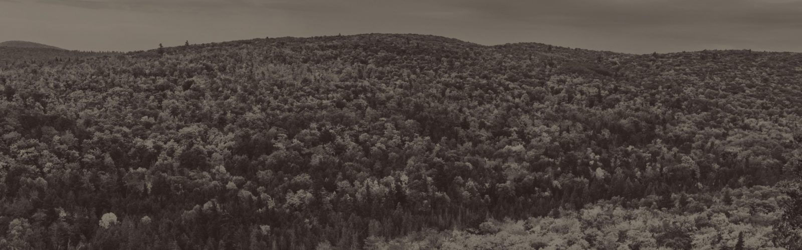PR Fall Vistas Blog Sepia