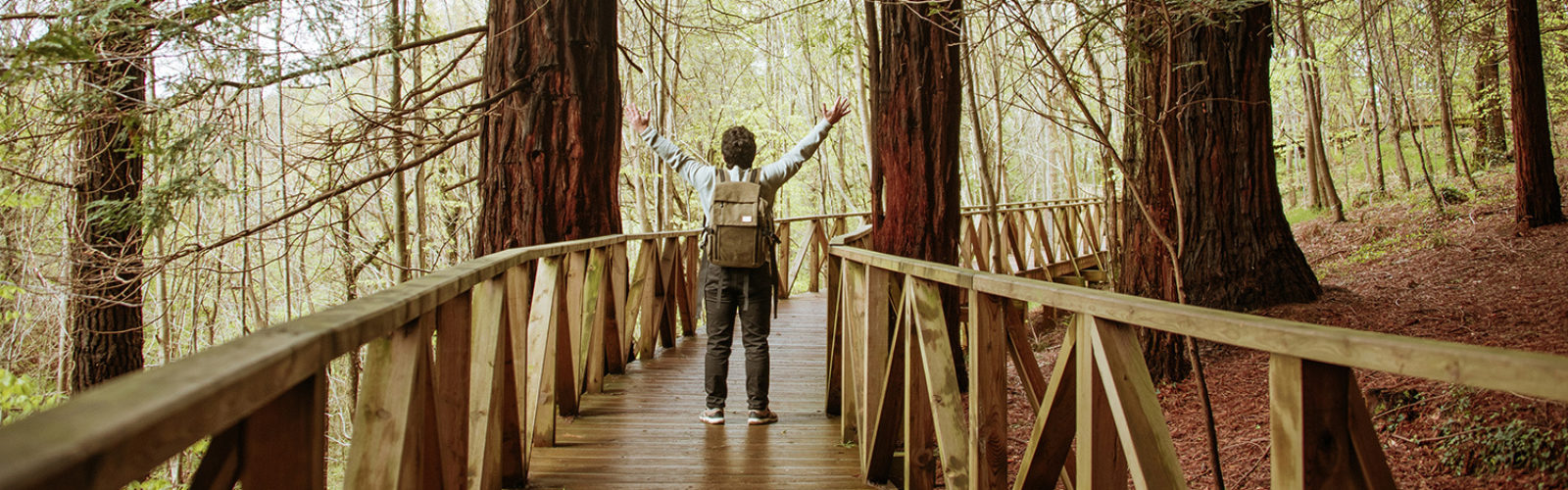 Visit California National Parks Fleetwood RV