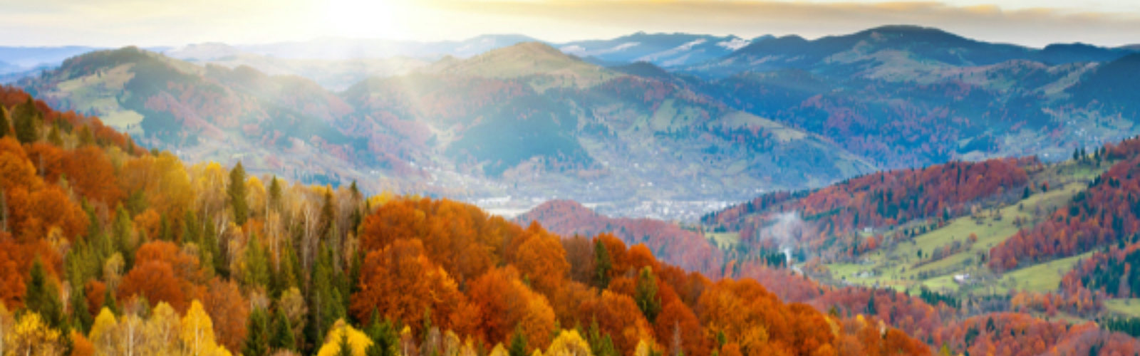 Shutterstock 86603806 HR