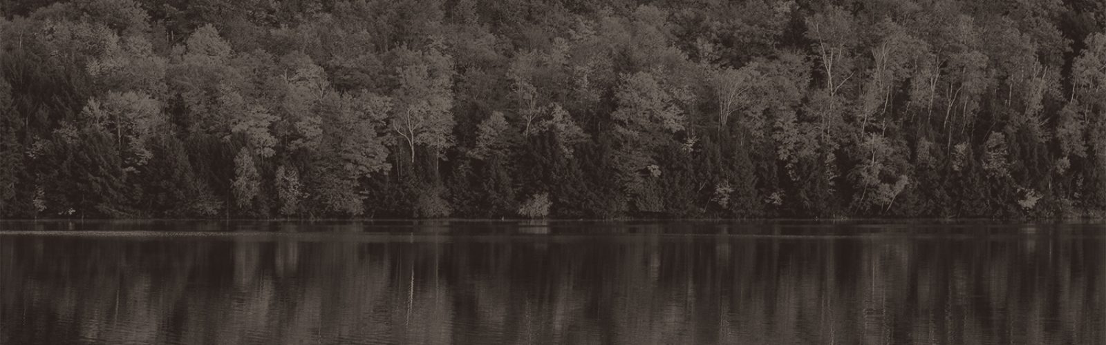 Foliage sepia