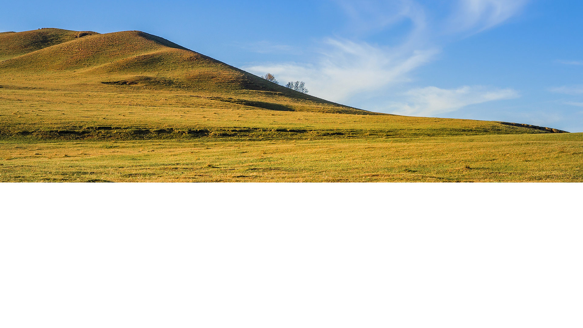 BG8w copy
