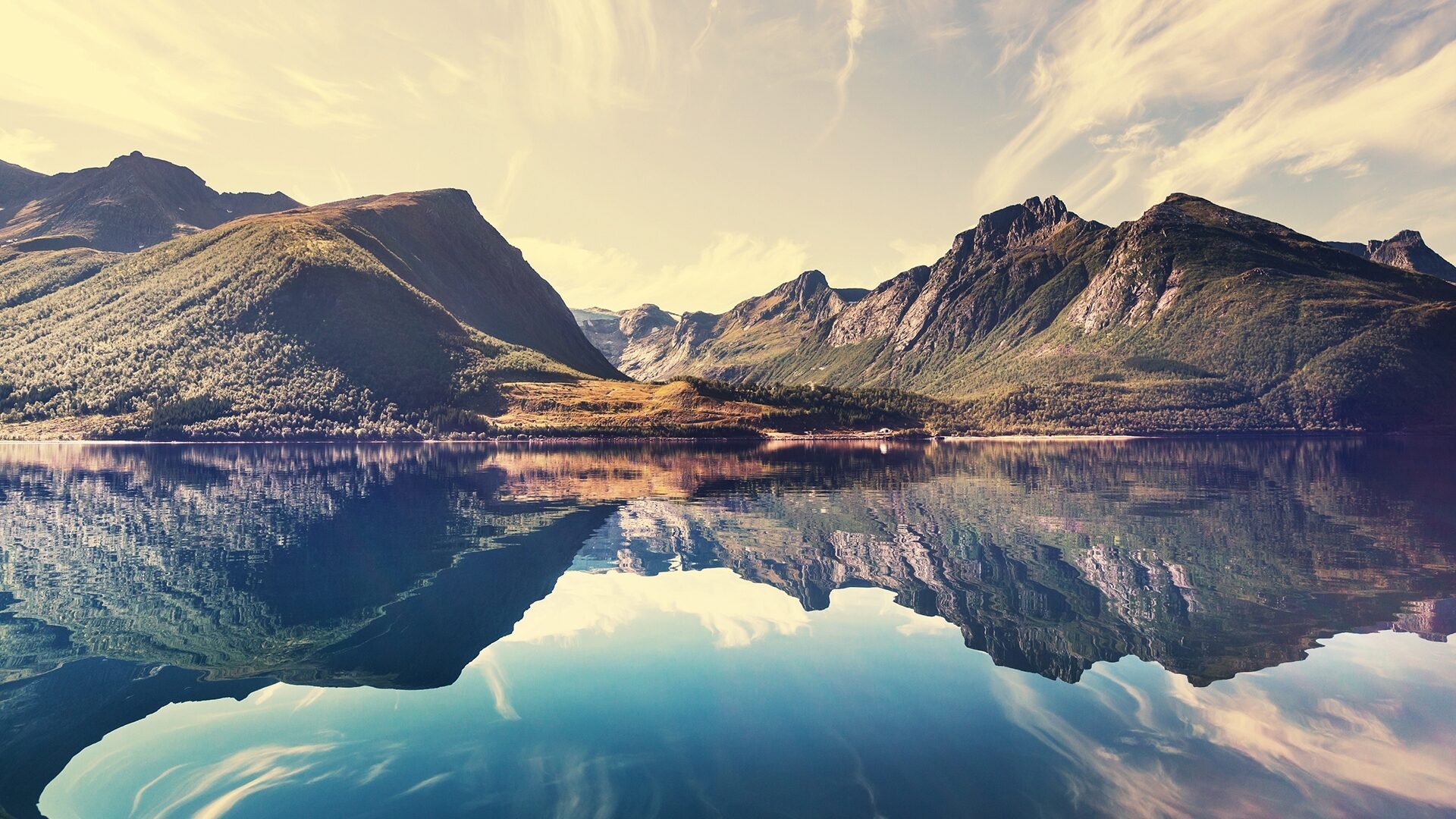 Shutterstock 185910980 copy