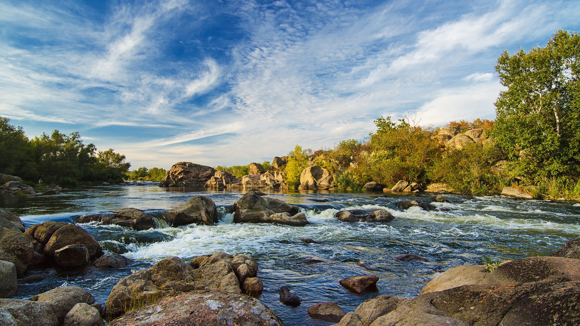 Shutterstock 220816483 copy
